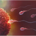 تحسين الخصوبة للرجال بطرق طبيعية